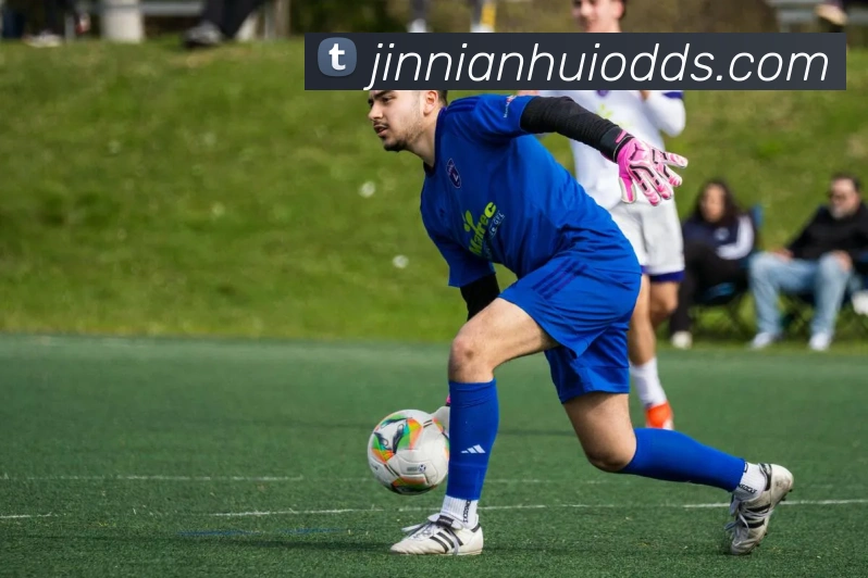 金年会APP 体育赛事宣传图